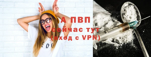 спиды Великий Новгород