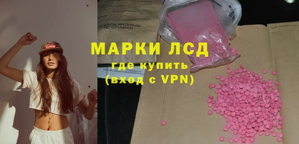 бошки Бородино