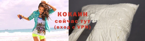 бошки Бородино