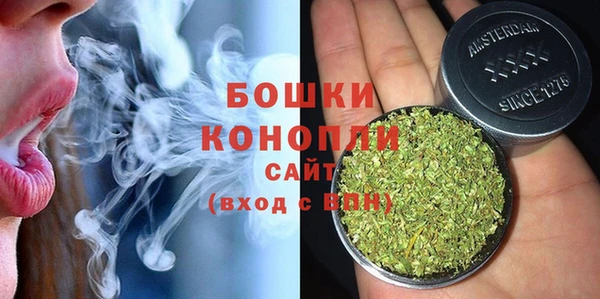 бошки Бородино