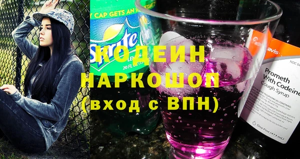 бошки Бородино
